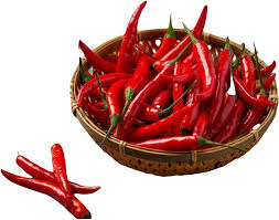 Fresh red chilli